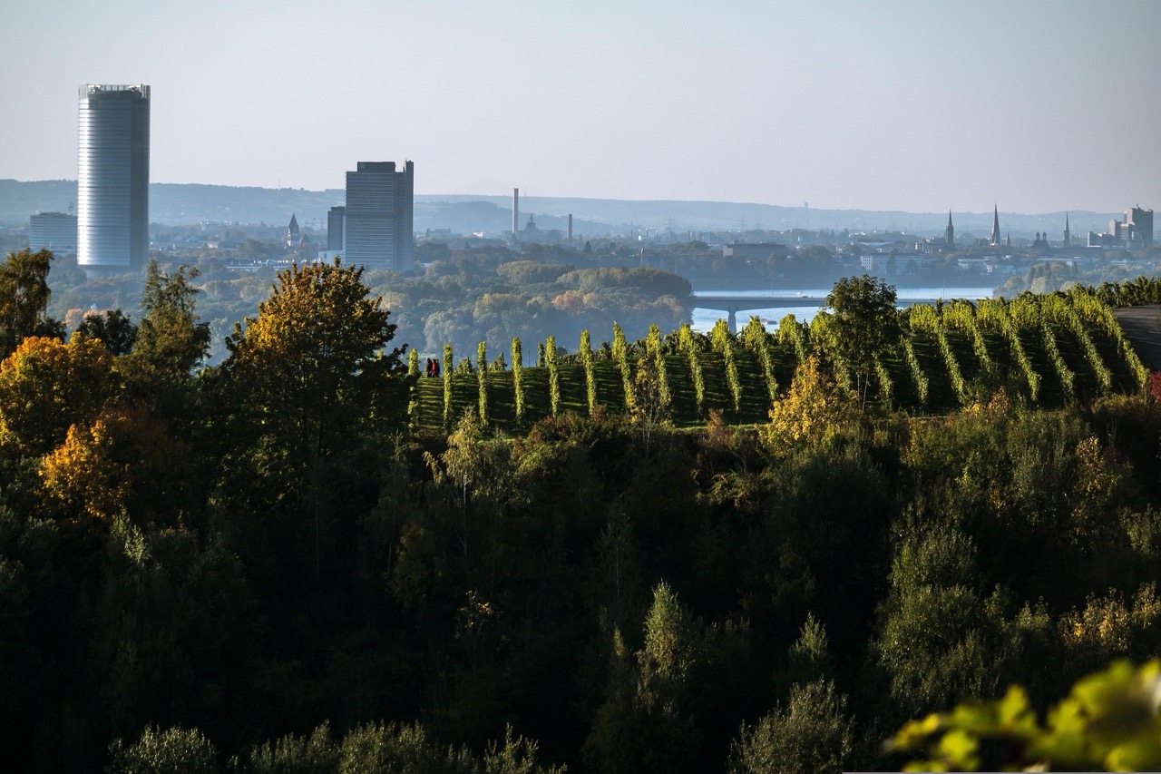 Psychologische Beratung online Bonn
