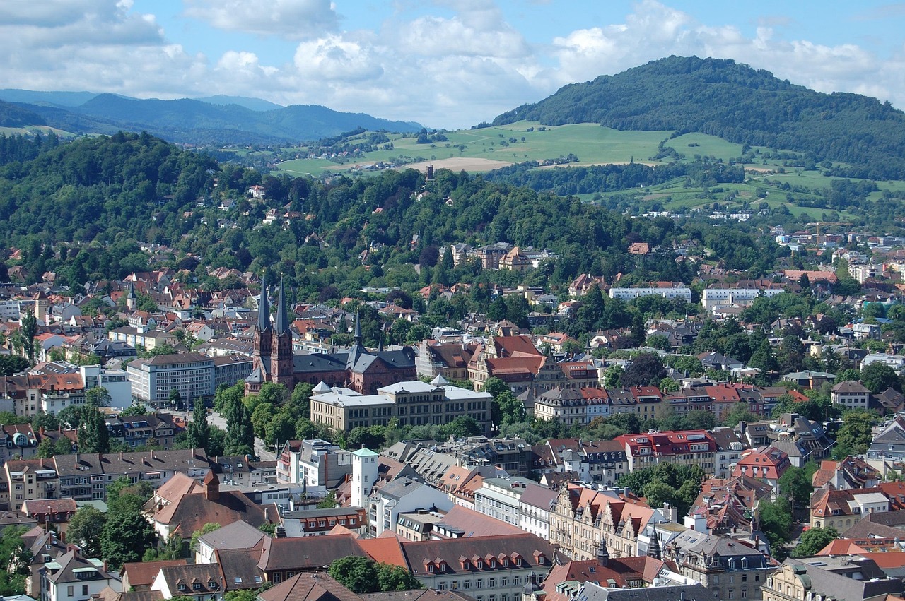 Psychologische Beratung online Freiburg